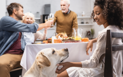 8 Thanksgiving Safety Tips for Your Pet