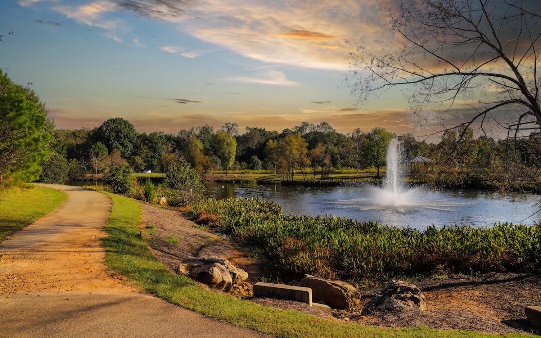 Why You Should Choose Edgewater Animal Hospital When Searching for an Alpharetta Vet Clinic