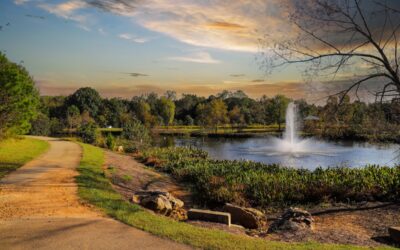 Why You Should Choose Edgewater Animal Hospital When Searching for an Alpharetta Vet Clinic