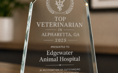 Edgewater Animal Hospital Named One of the Best Vets in Alpharetta for 2026