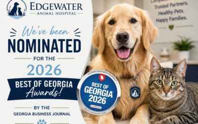 Edgewater Animal Hospital Nominated for the 2026 Best of Georgia Awards