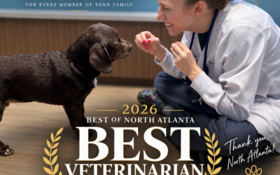 Edgewater Animal Hospital Named Best Veterinarian in the 2026 Best of North Atlanta Awards