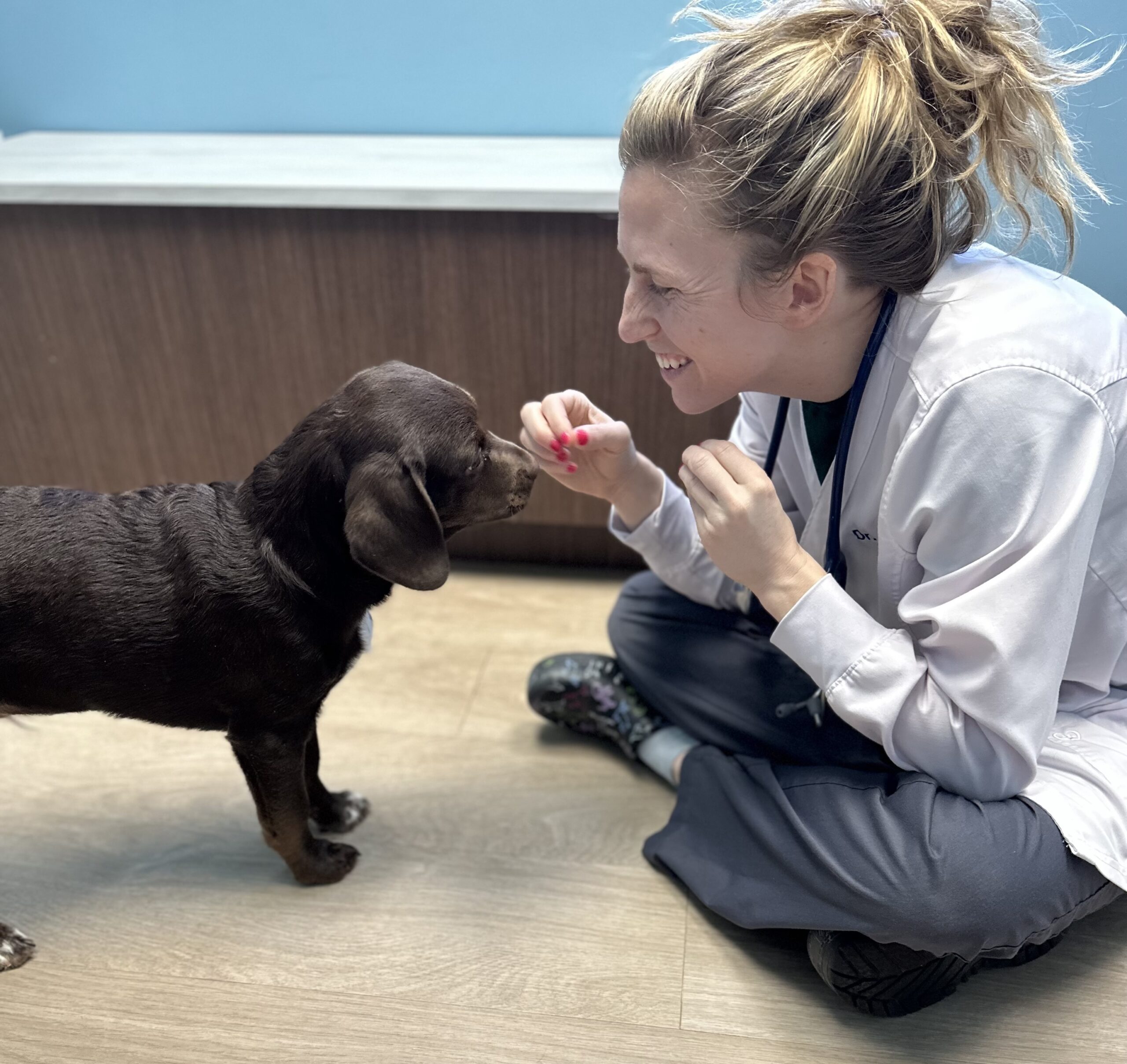 Dr. Erin George, DVM of Edgewater Animal Hospital